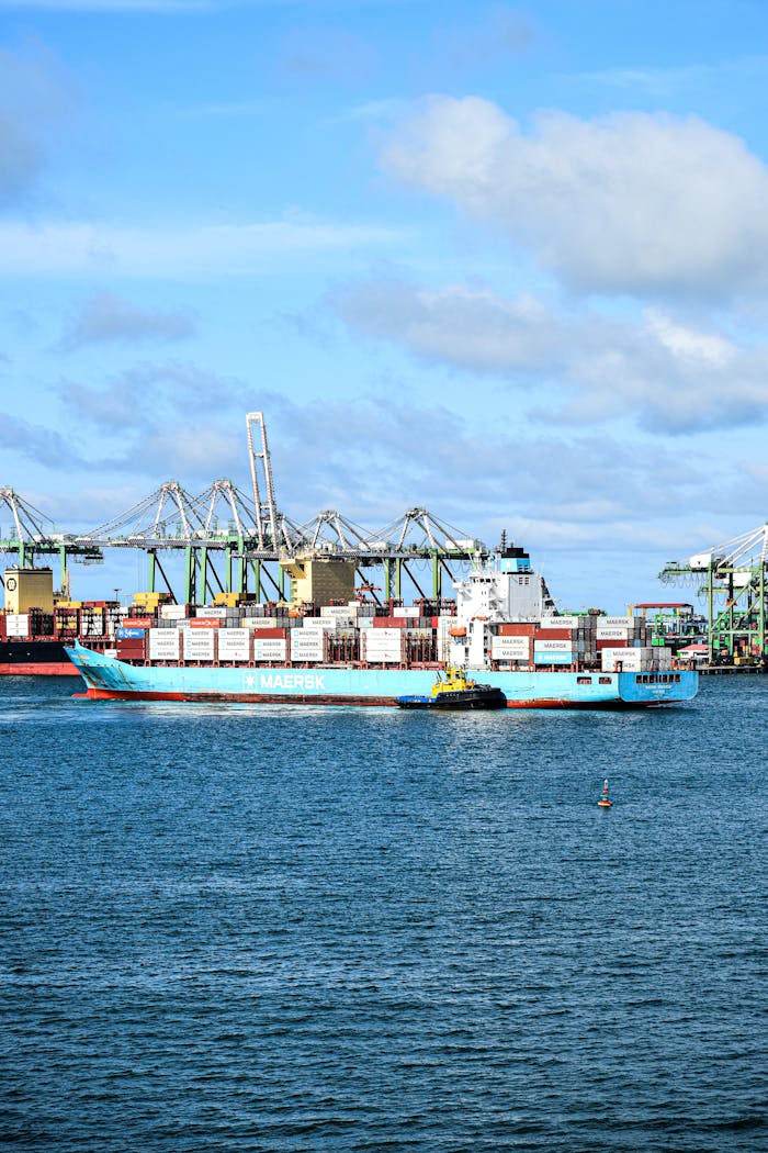 services-01 A busy seaport with a cargo ship, cranes, and clear skies.